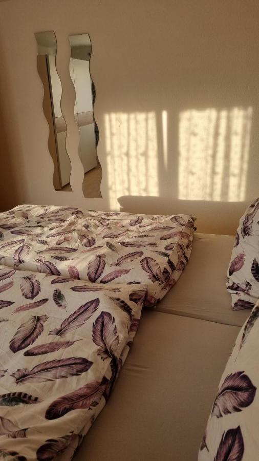 Schoene 2-Zimmer Ferienwohnung Löffingen Extérieur photo